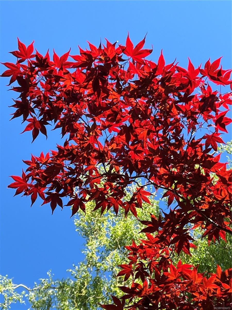 1560 Joan Ave, Crofton, BC