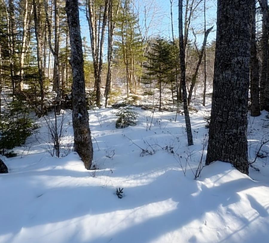 Lot 1-A Country Road, Labelle, NS