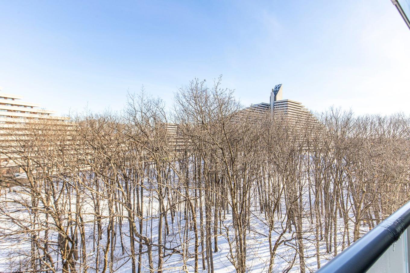 View - 608-4900 Boul. De L'Assomption, Montréal (Rosemont/La Petite-Patrie), QC - Outdoor With View