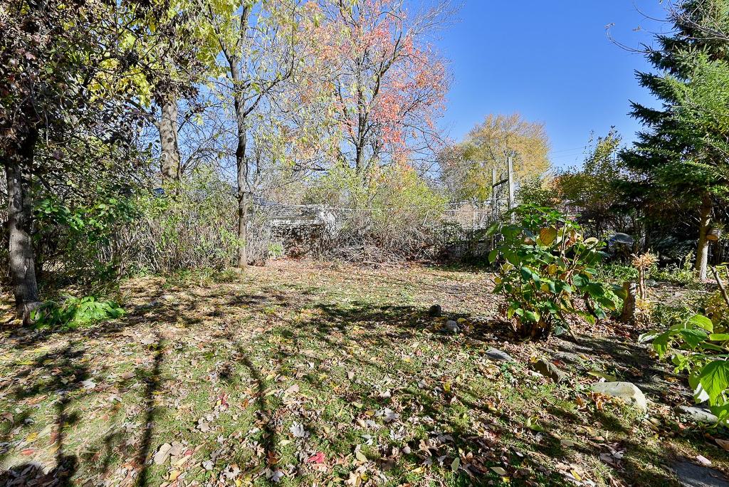 Backyard - 208 Ch. St-Charles, Longueuil (Greenfield Park), QC - Outdoor