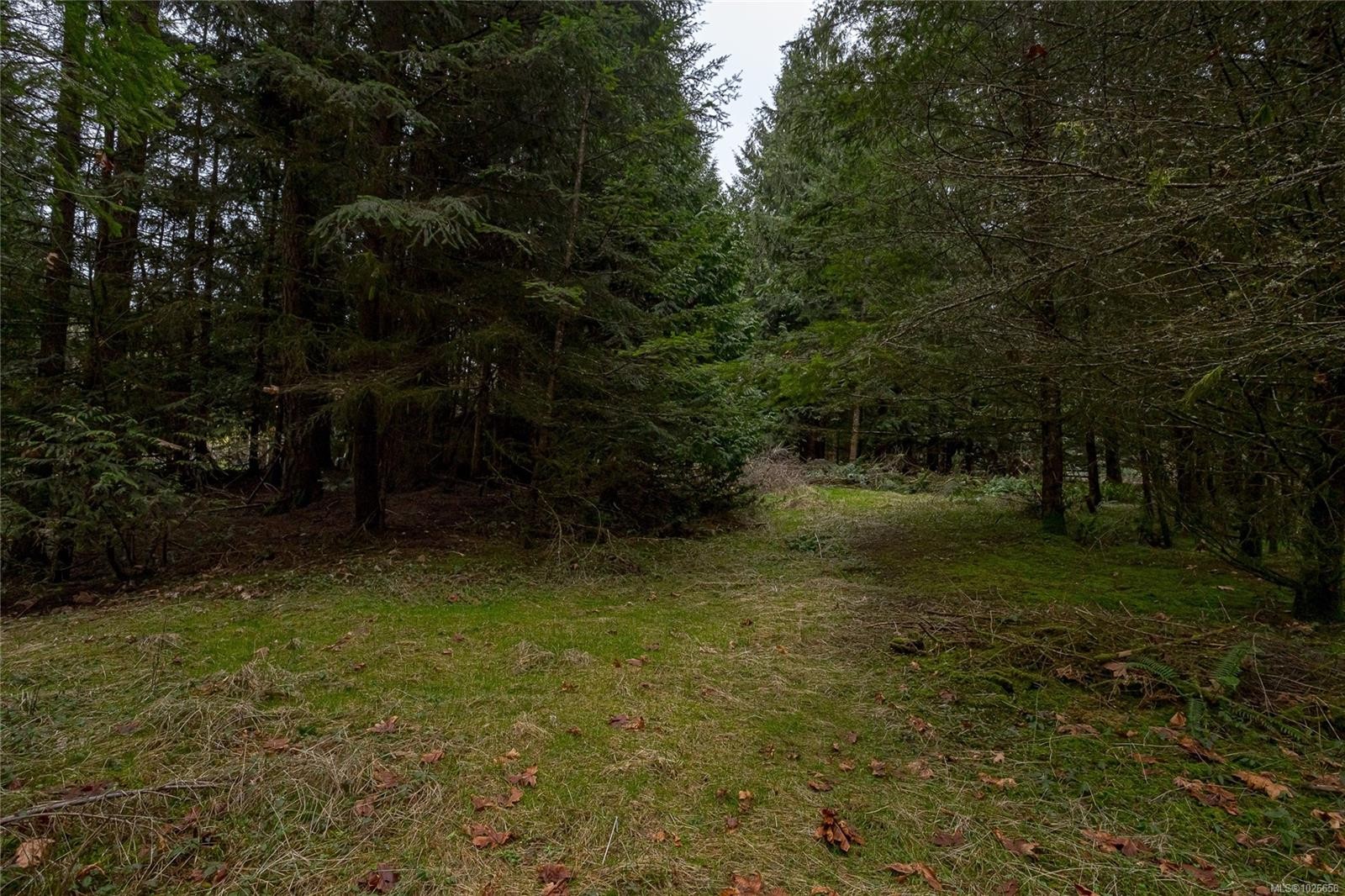 3723 Bayne Rd, Cobble Hill, BC