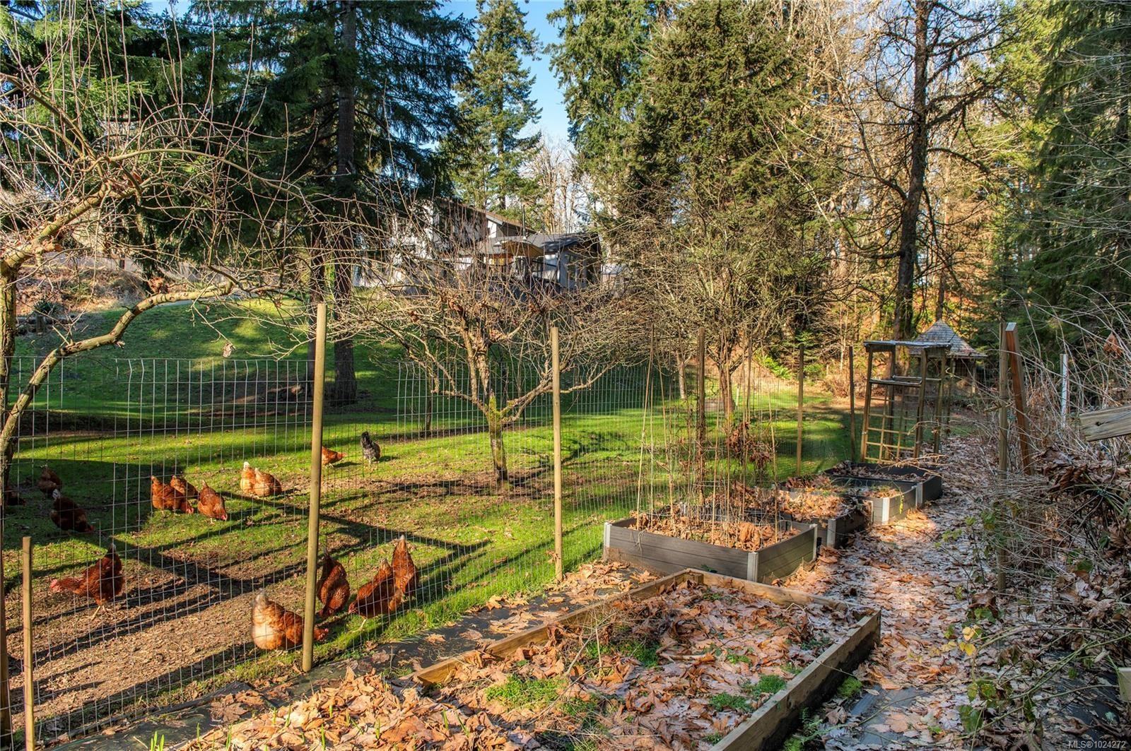 2404 Glenmore Rd, Campbell River, BC