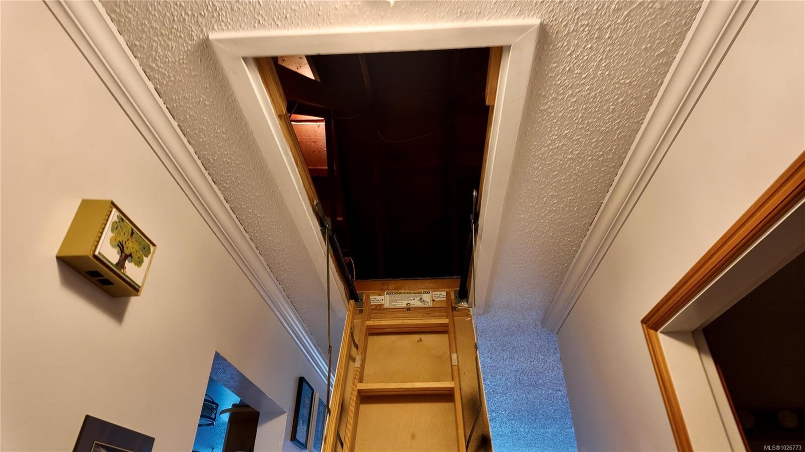 7710 Cedar Pl, Port Hardy, BC - Indoor Photo Showing Other Room