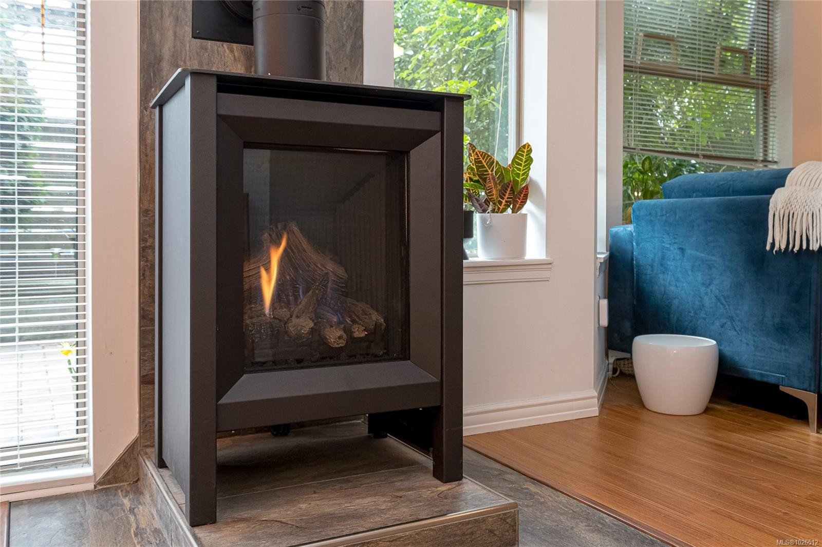 101-935 Johnson St, Victoria, BC - Indoor With Fireplace