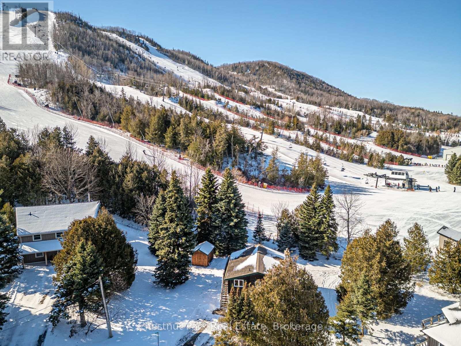 Walk to the ski hills out your back yard - 160 Wensley Drive, Blue Mountains, ON - Outdoor With View