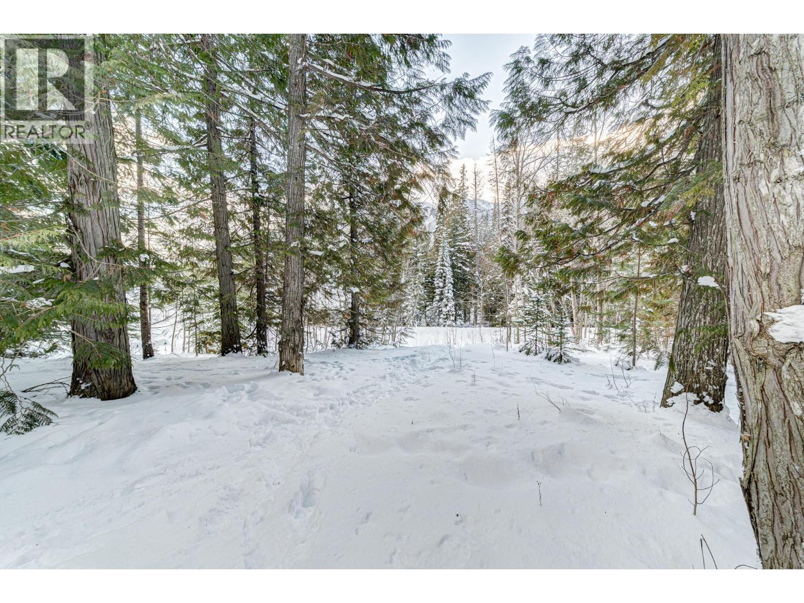 4546 Timberline Crescent, Fernie, BC - Outdoor