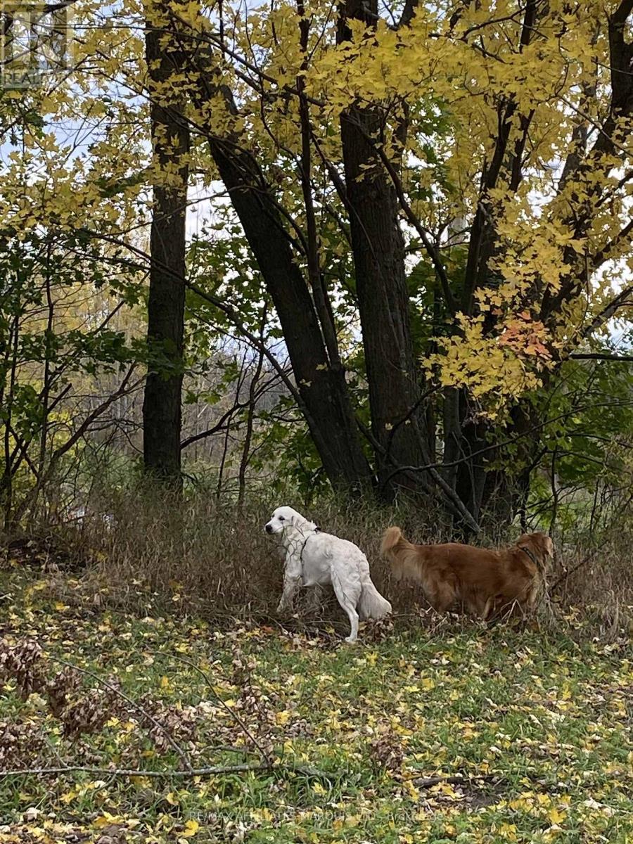 Lot Sapphire Drive, South Glengarry, ON