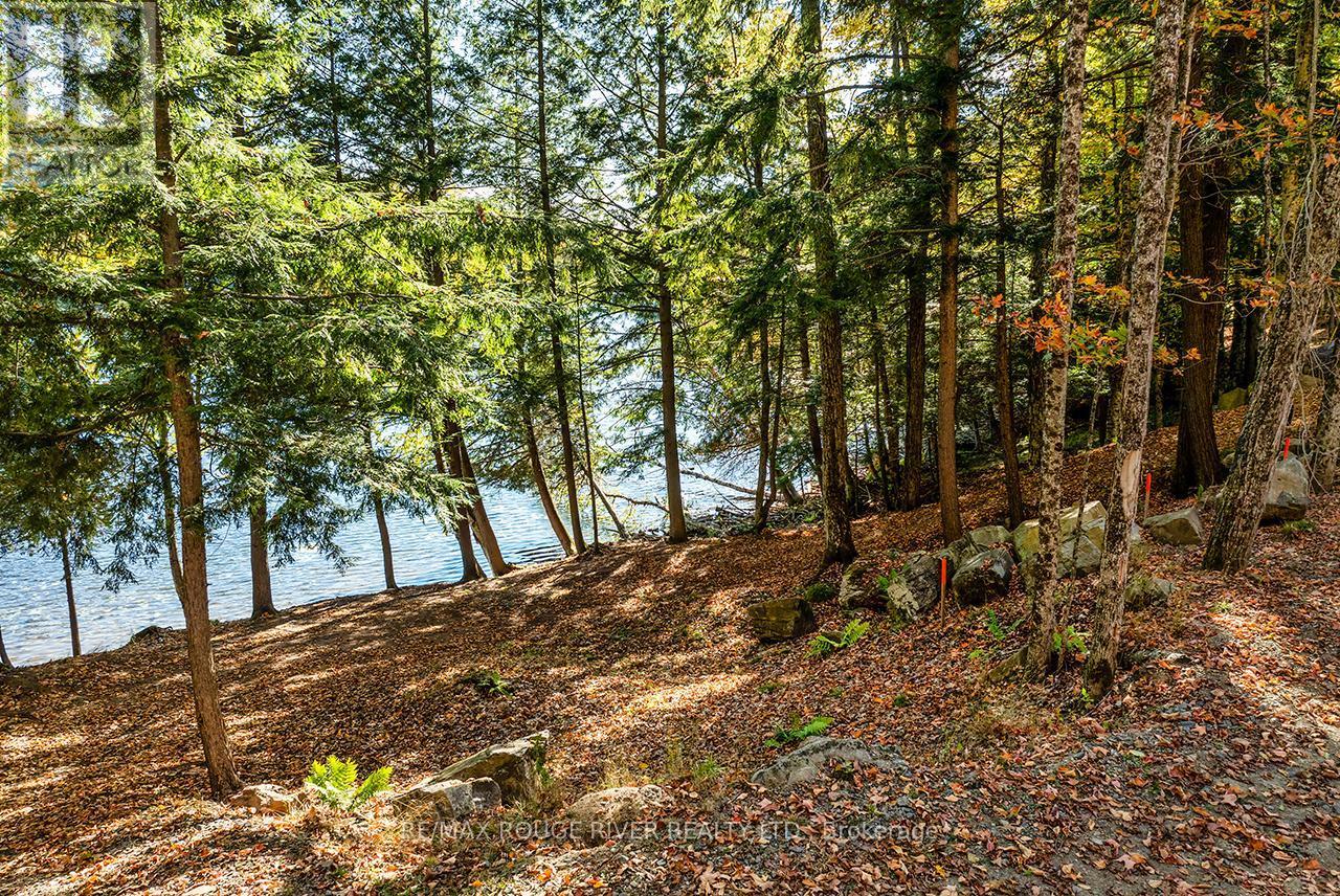 0 Thompson Portage Road, Lake Of Bays, ON