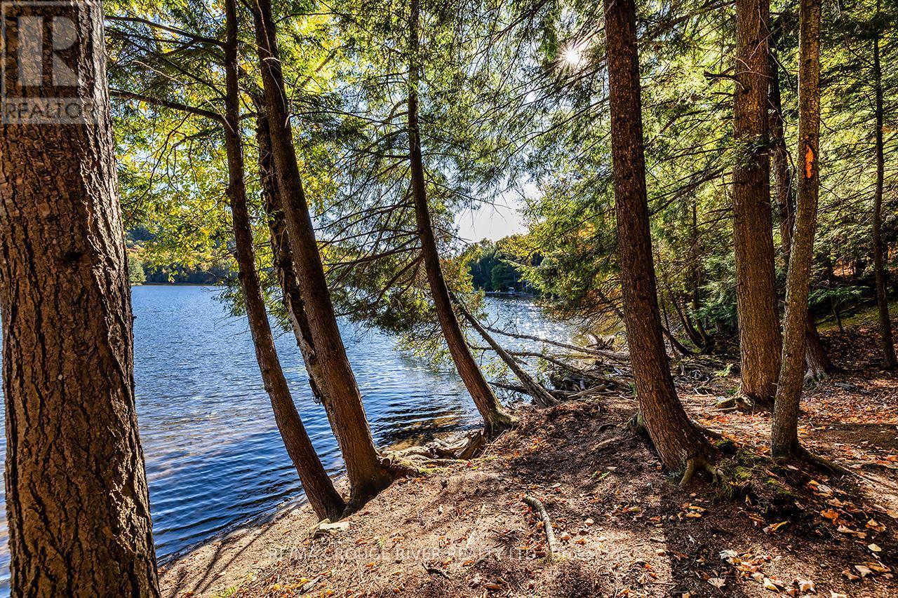 0 Thompson Portage Road, Lake Of Bays, ON