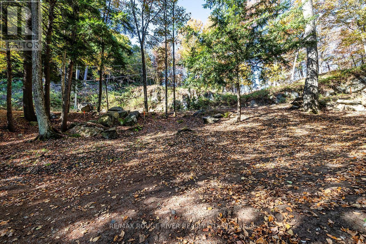 0 Thompson Portage Road, Lake Of Bays, ON