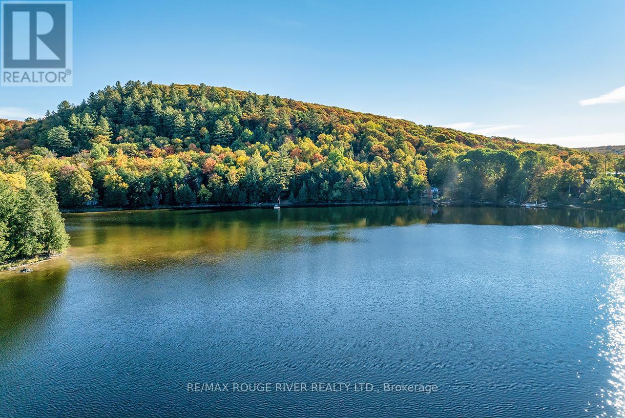 0 Thompson Portage Road, Lake Of Bays, ON