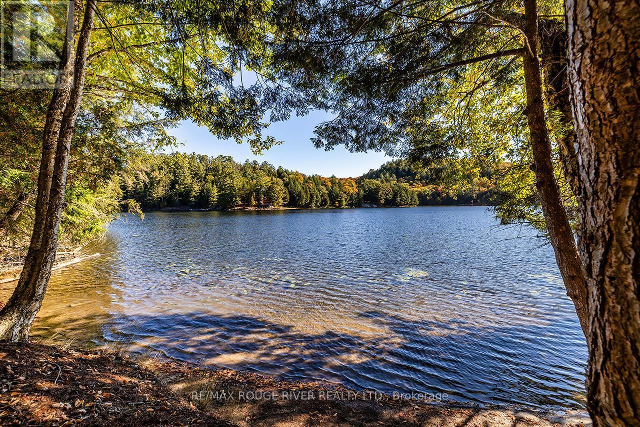 0 Thompson Portage Road, Lake Of Bays, ON