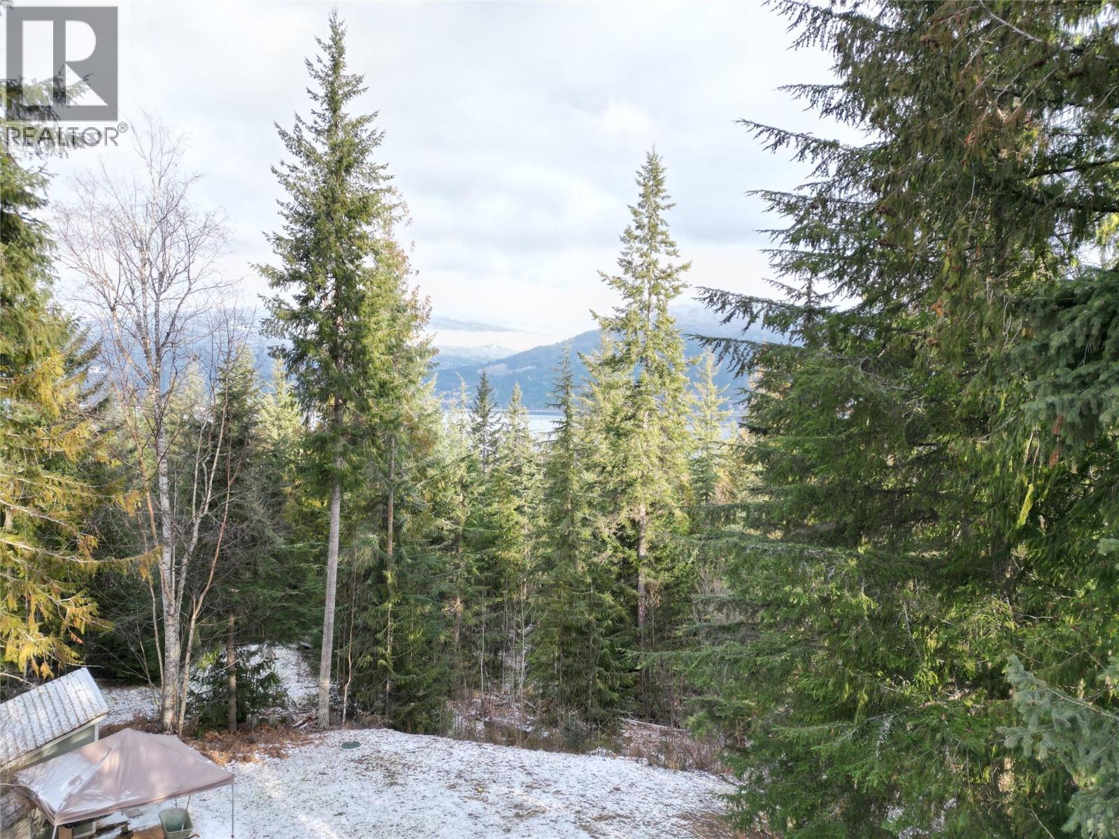 3970 Talin Place, Eagle Bay, BC - Outdoor With View
