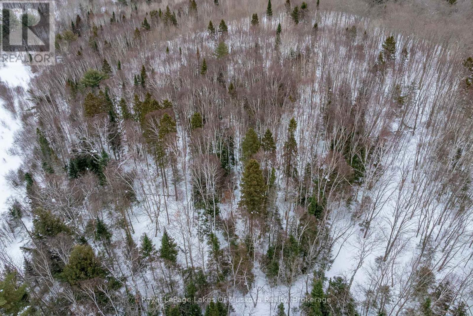 2245 Ahmic Lake Road, Magnetawan, ON - Outdoor