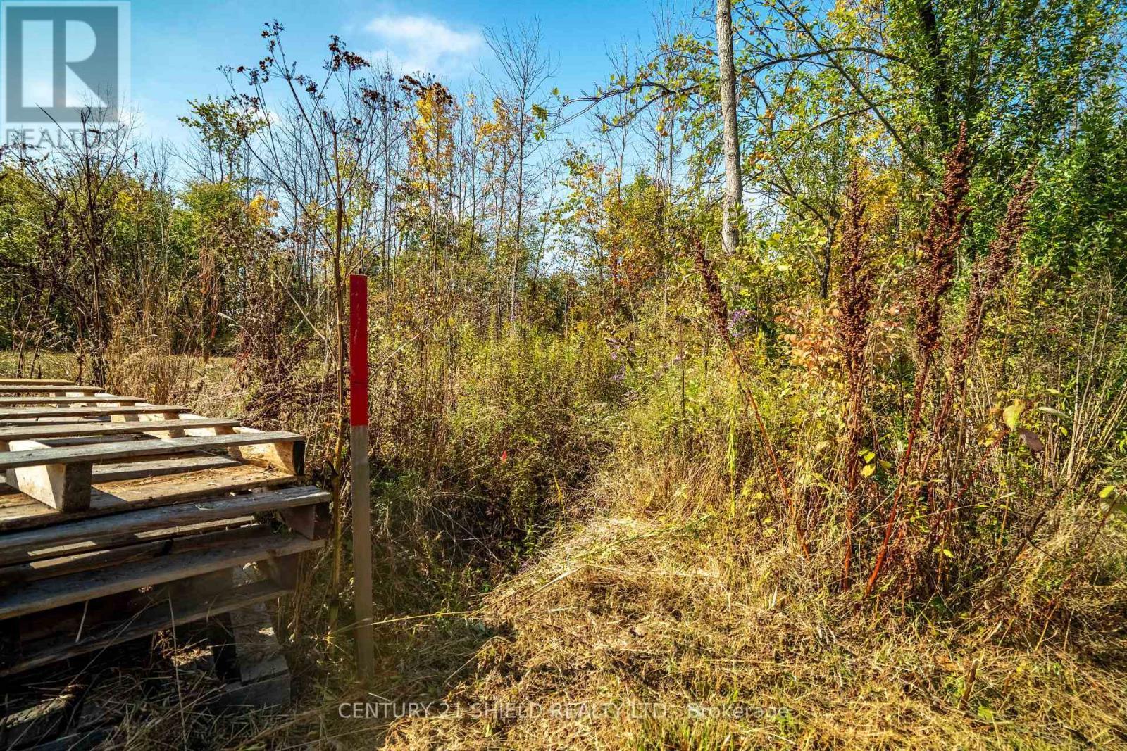 hydro trench dug and marked; hydro avail at road - 15618 Dixon Road, South Stormont, ON