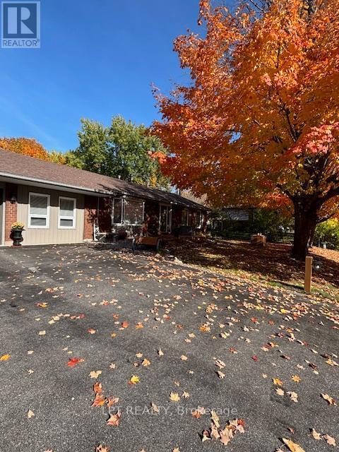 Driveway - Fall Photo - 34 Cedar Creek Road, Springwater, ON - Outdoor