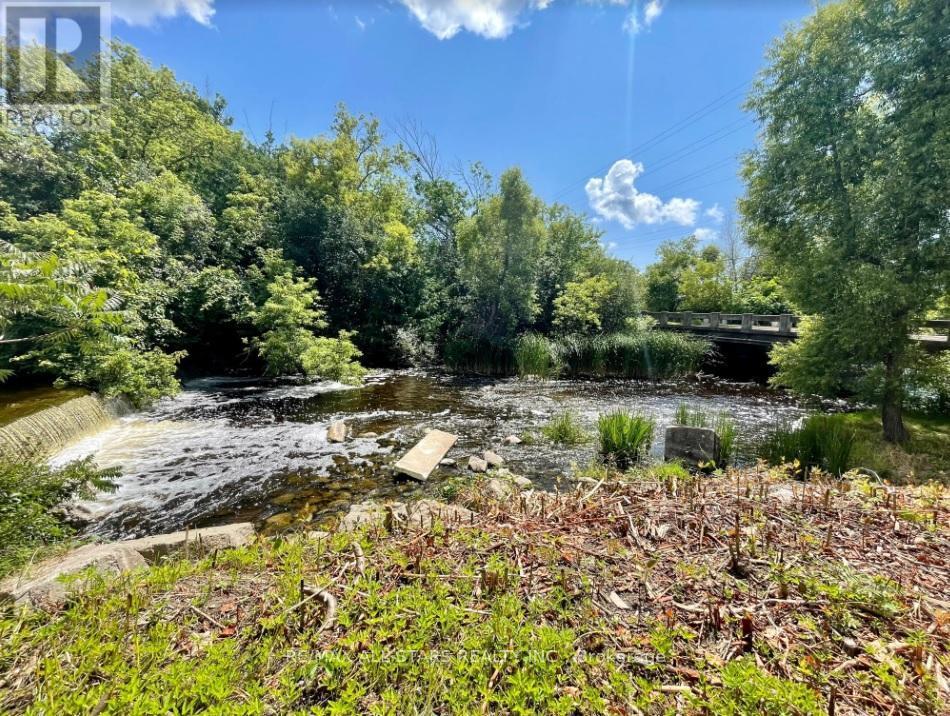 175 Laidlaw Street N, Brock, ON