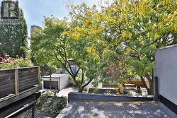 Treetop views from 3rd floor Juliette balcony -