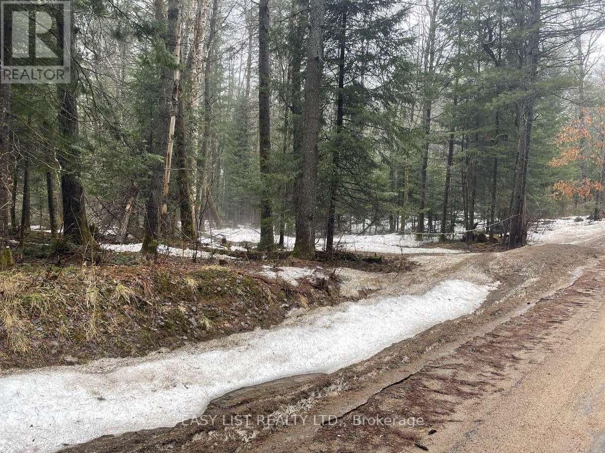 0 Dwight Beach Road, Lake Of Bays, ON