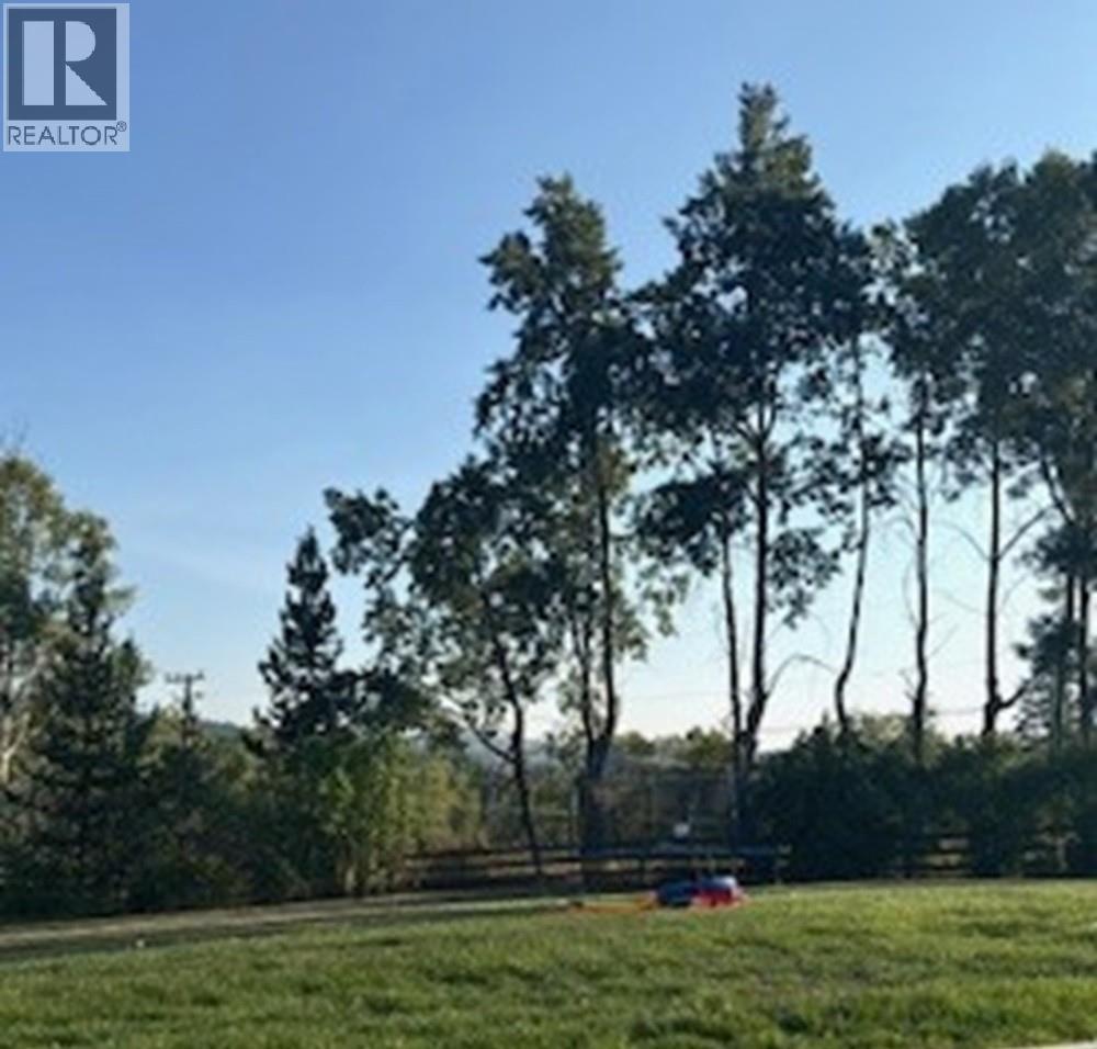 6313 Archie Meadow Road, Forest Grove, BC - Outdoor With View