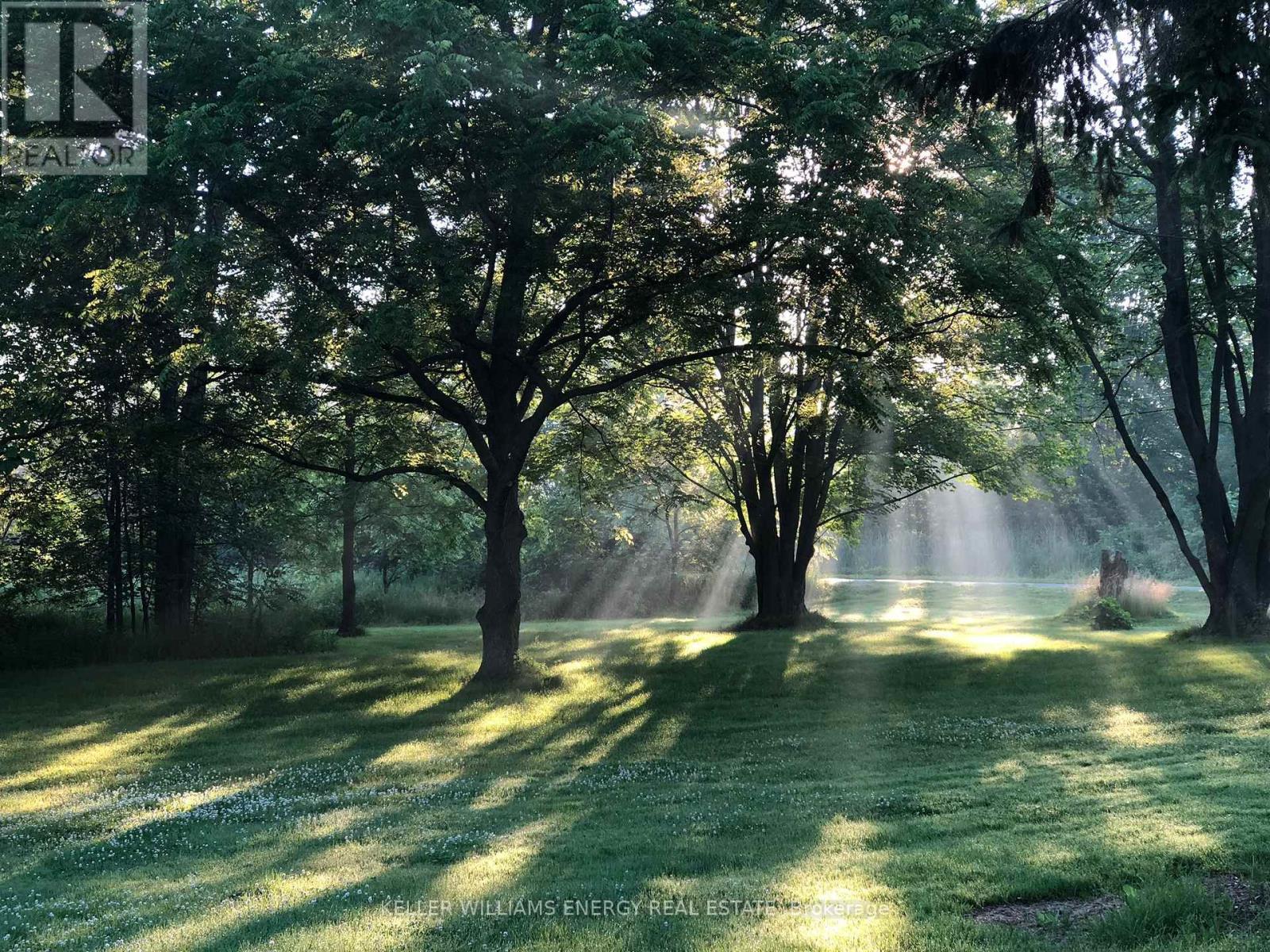 Misty mornings - 339 Elmbrook Road, Prince Edward County (Sophiasburg Ward), ON - Outdoor With View