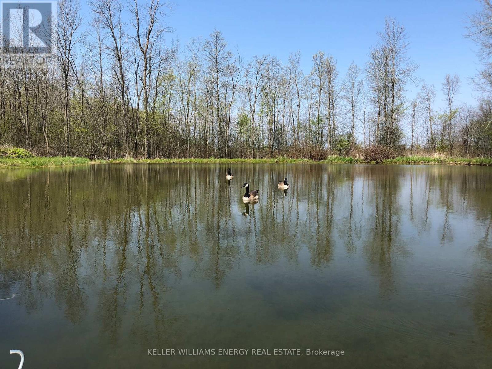 Nearly a quarter acre pond - 339 Elmbrook Road, Prince Edward County (Sophiasburg Ward), ON - Outdoor With Body Of Water With View