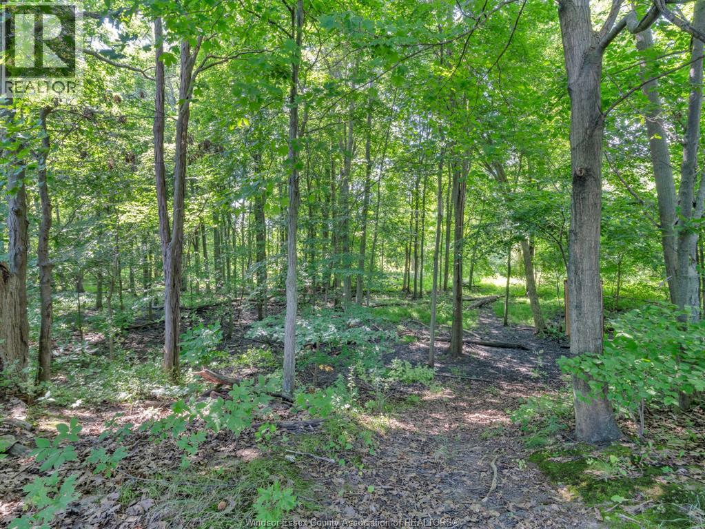 2310 Hickson Rd., Leamington, ON - Outdoor