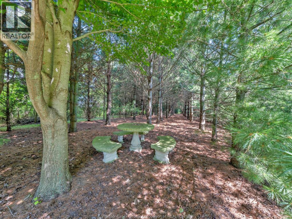 2310 Hickson Rd., Leamington, ON - Outdoor