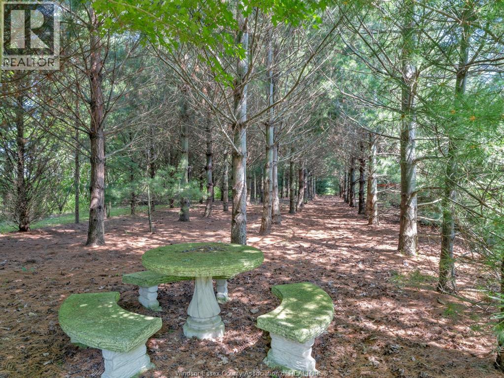 2310 Hickson Rd., Leamington, ON - Outdoor With View