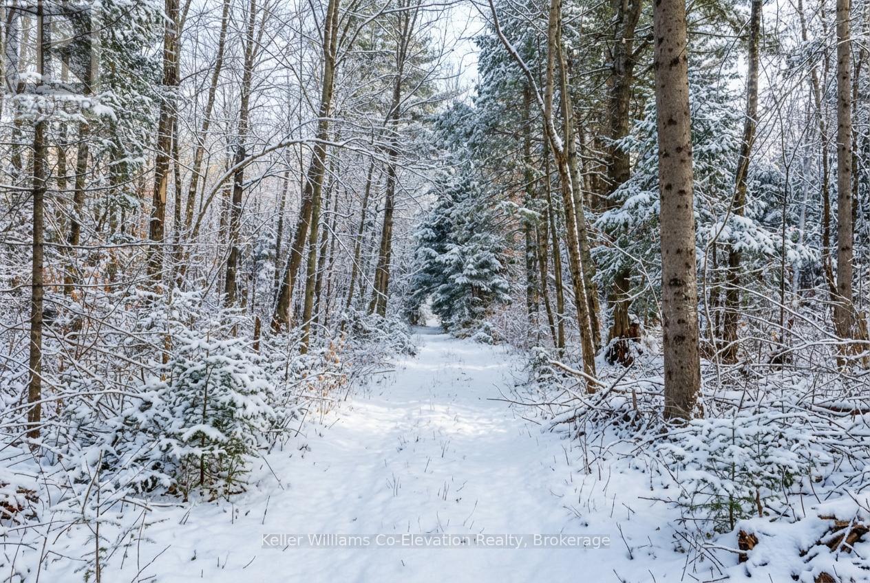 1076 Beaver Lane, Springwater, ON - Outdoor With View