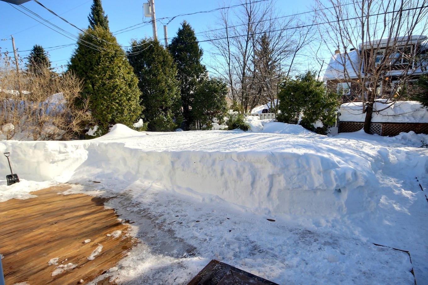 Backyard - 548 Rue Filiatrault, Rouyn-Noranda, QC - Outdoor