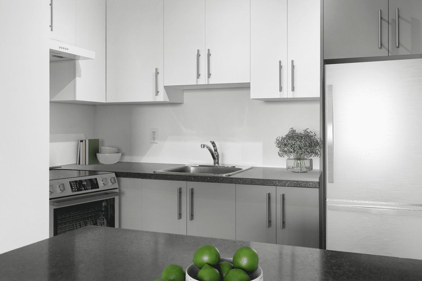 Cuisine - 606-600 Av. Wilfrid-Laurier, Québec (La Cité-Limoilou), QC - Indoor Photo Showing Kitchen