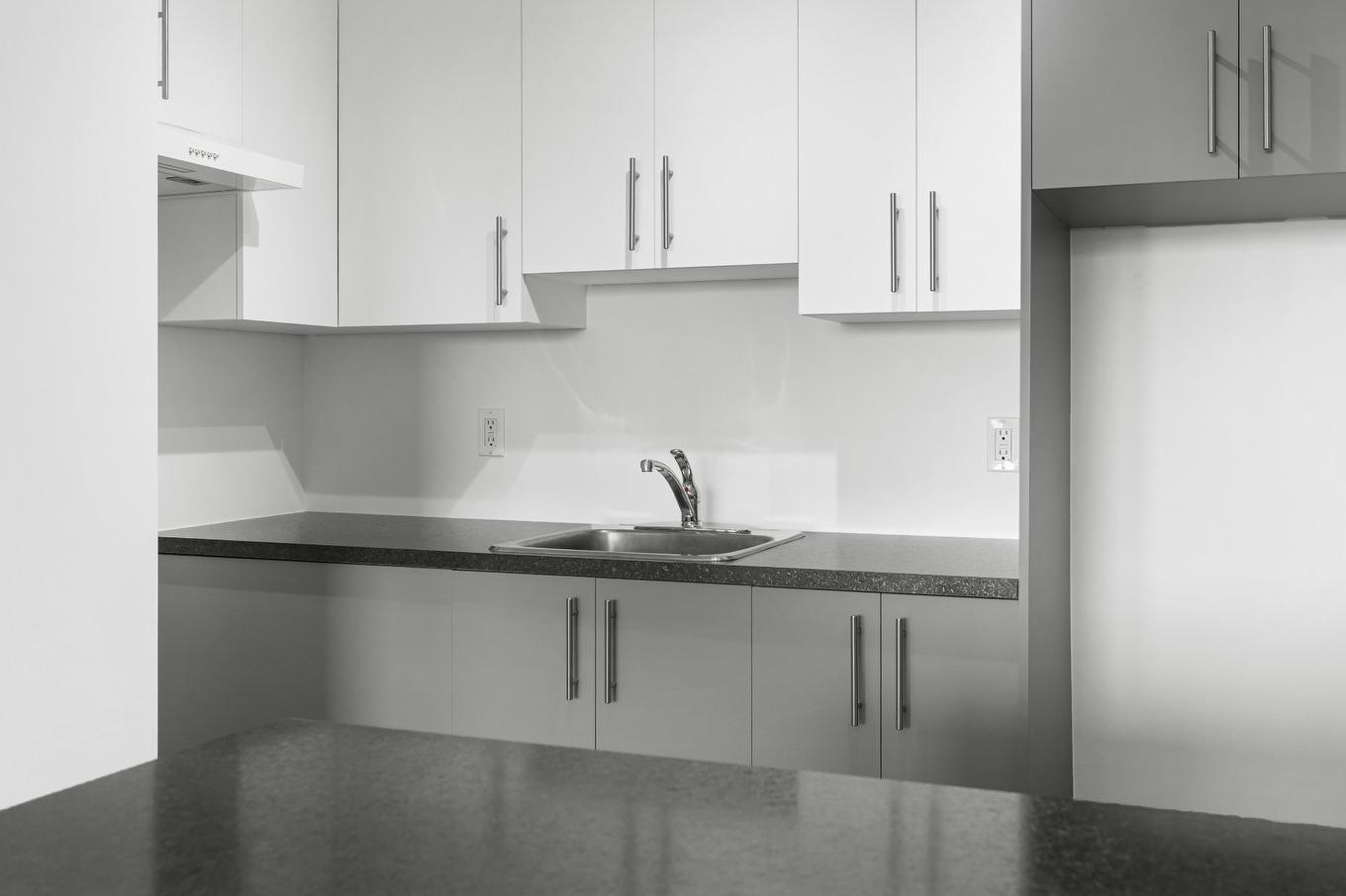 Cuisine - 606-600 Av. Wilfrid-Laurier, Québec (La Cité-Limoilou), QC - Indoor Photo Showing Kitchen