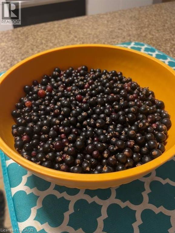 242 Doon Mills Drive, Kitchener, ON -