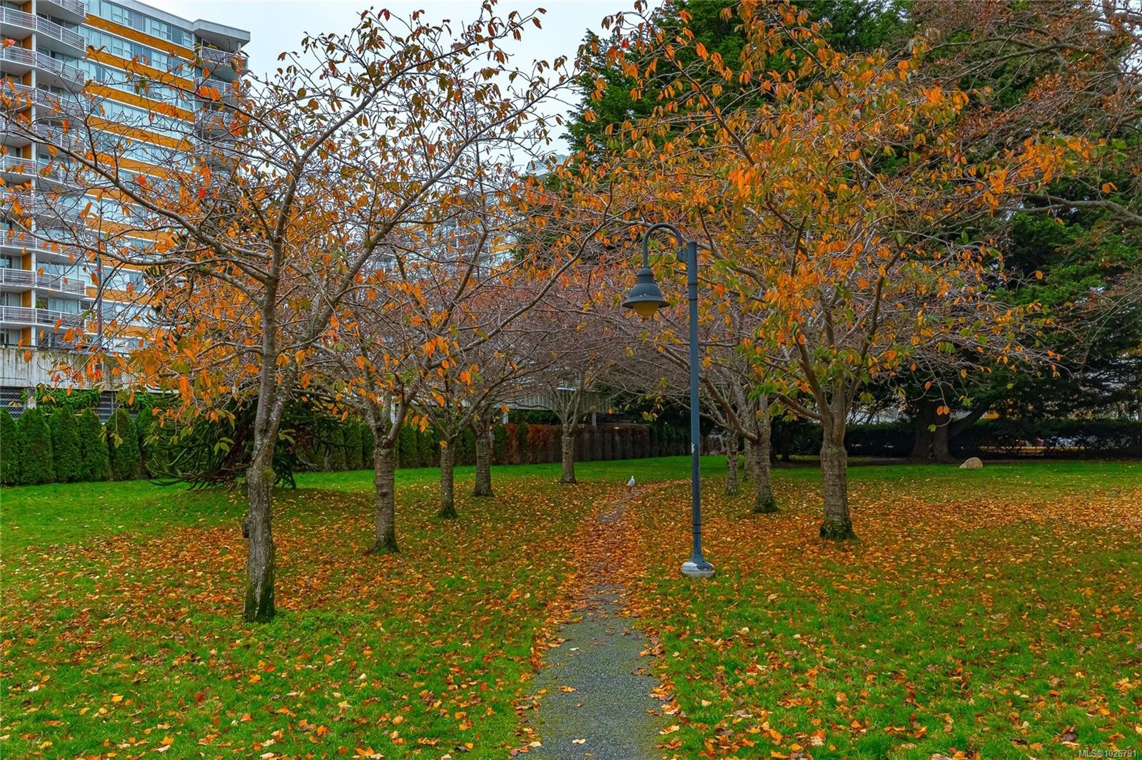 126 Ladysmith St, Victoria, BC