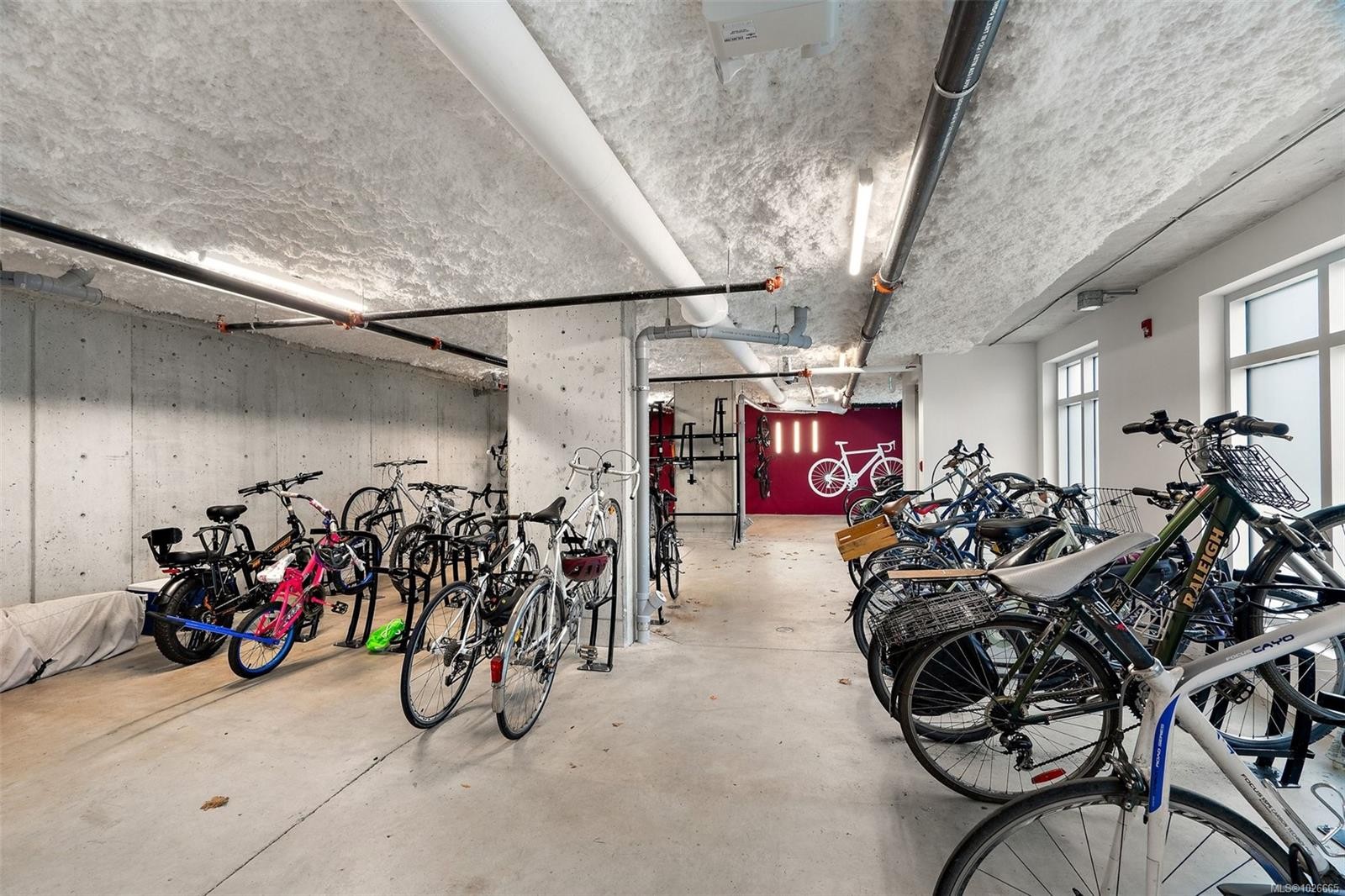 306-1301 Hillside Ave, Victoria, BC - Indoor Photo Showing Garage