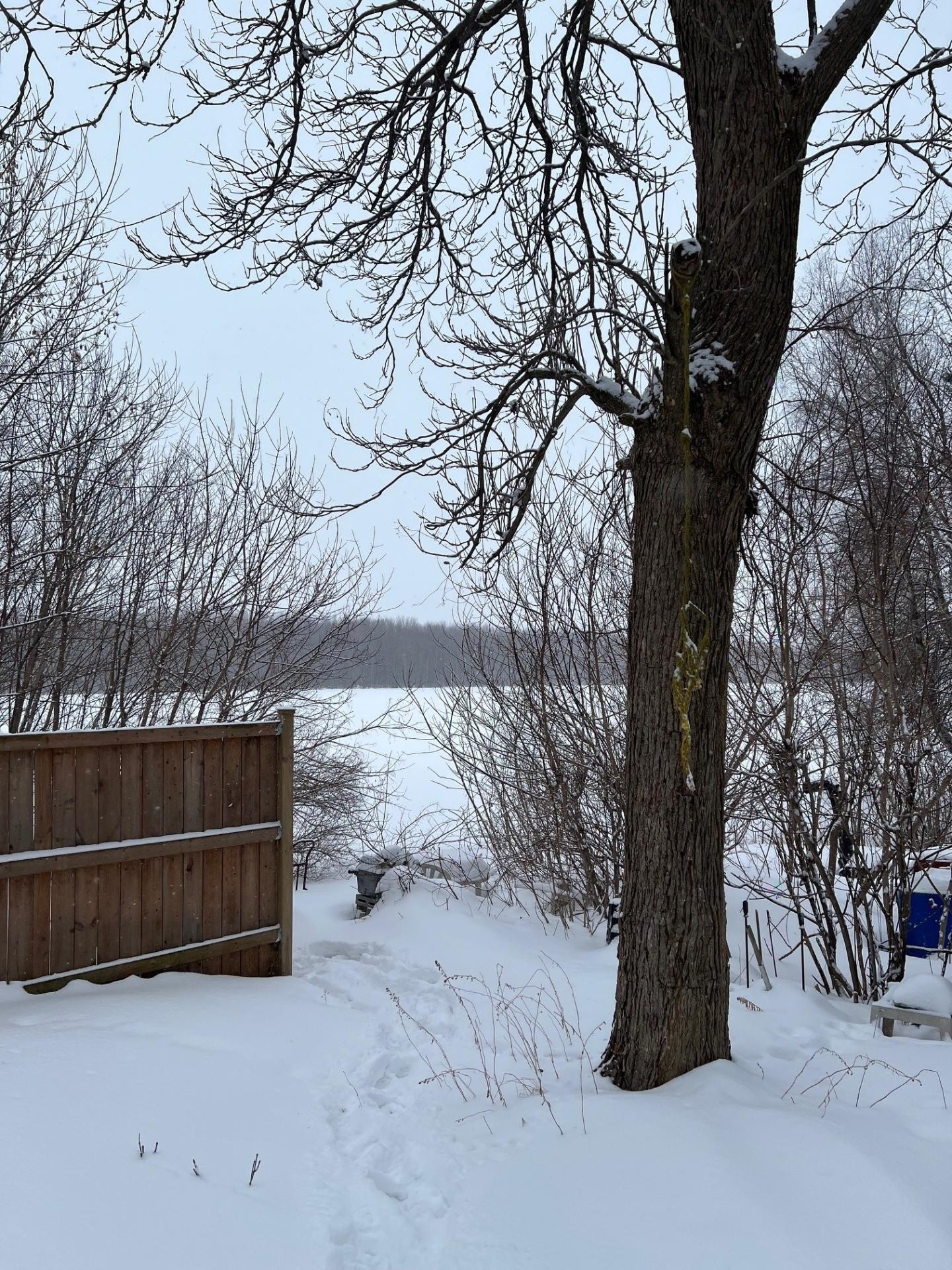 Lot - 176 Ch. Dawson, Rivière-Beaudette, QC