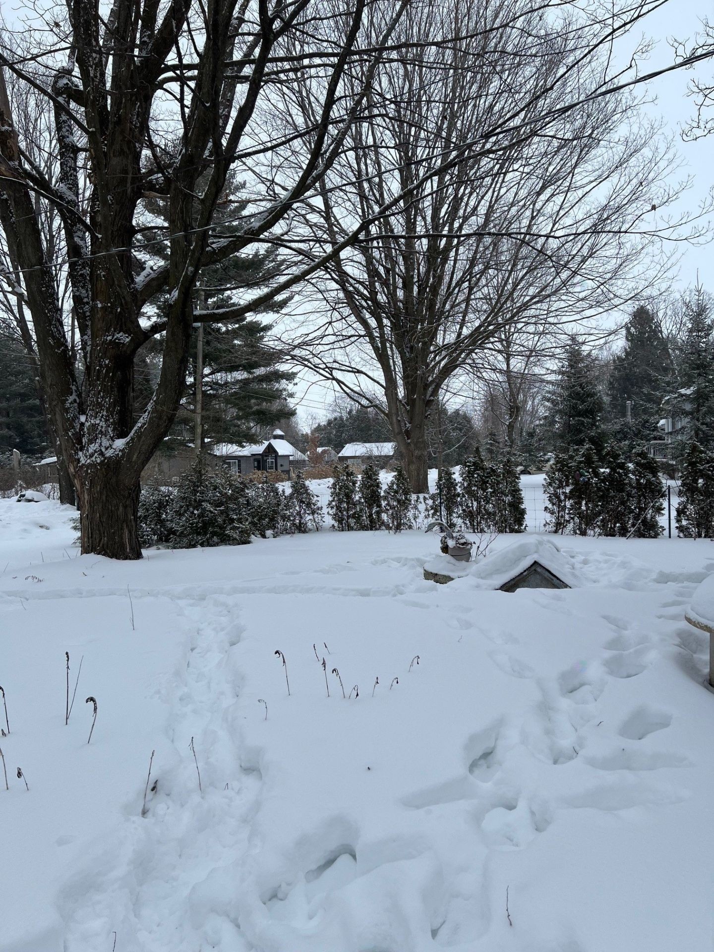 Lot - 176 Ch. Dawson, Rivière-Beaudette, QC