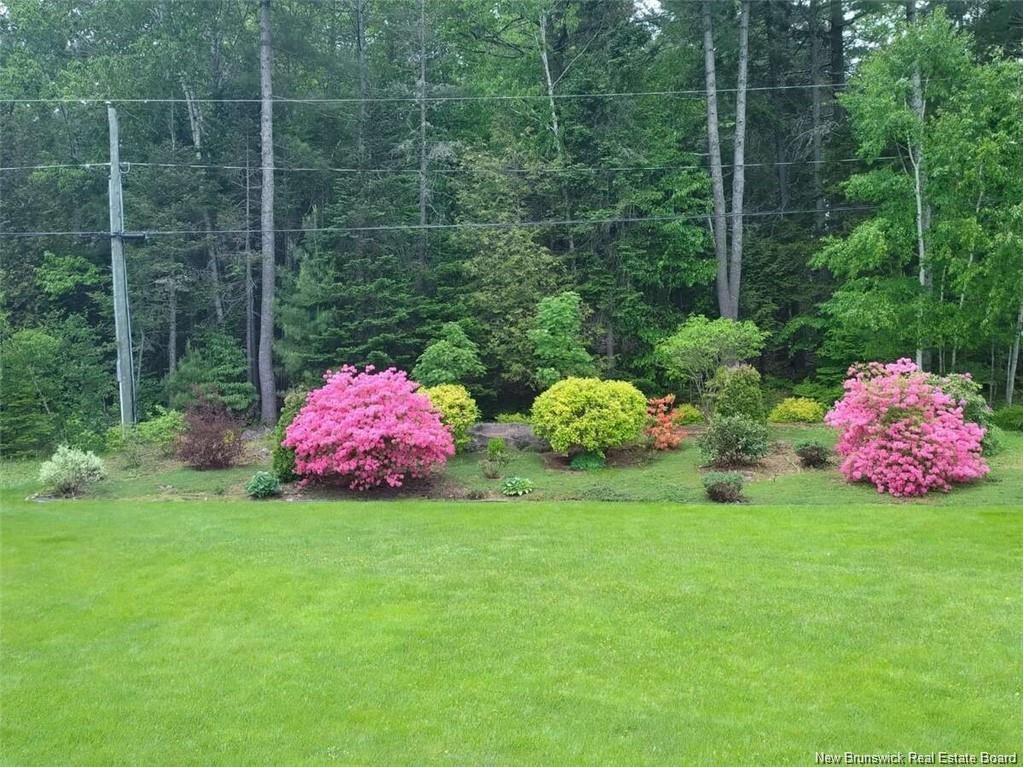 32 Barbara Crt, Fredericton, NB