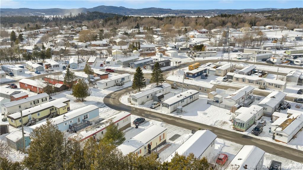 17 Tulip St, Saint John, NB