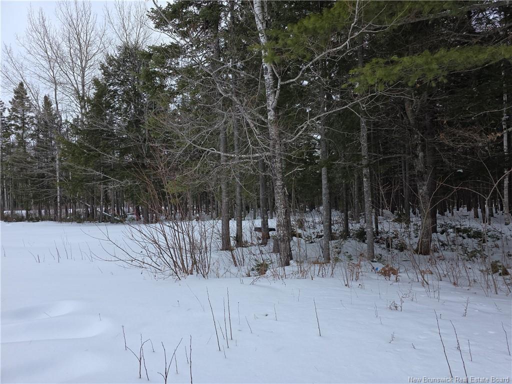 534 Cormier Village Bye Rd, Cocagne, NB