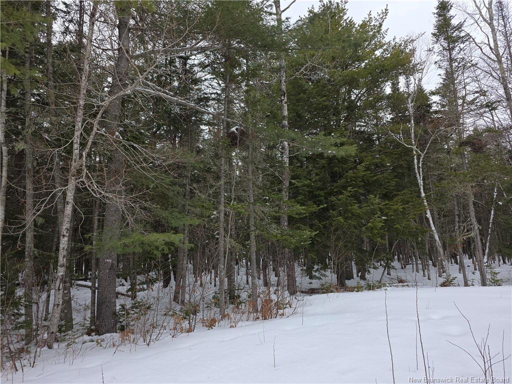 534 Cormier Village Bye Rd, Cocagne, NB