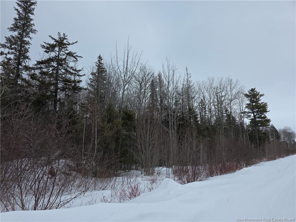 534 Cormier Village Bye Rd, Cocagne, NB