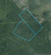 172.9 Acres Off South Napan RD Black River Bridge, NB E1N 4W5
