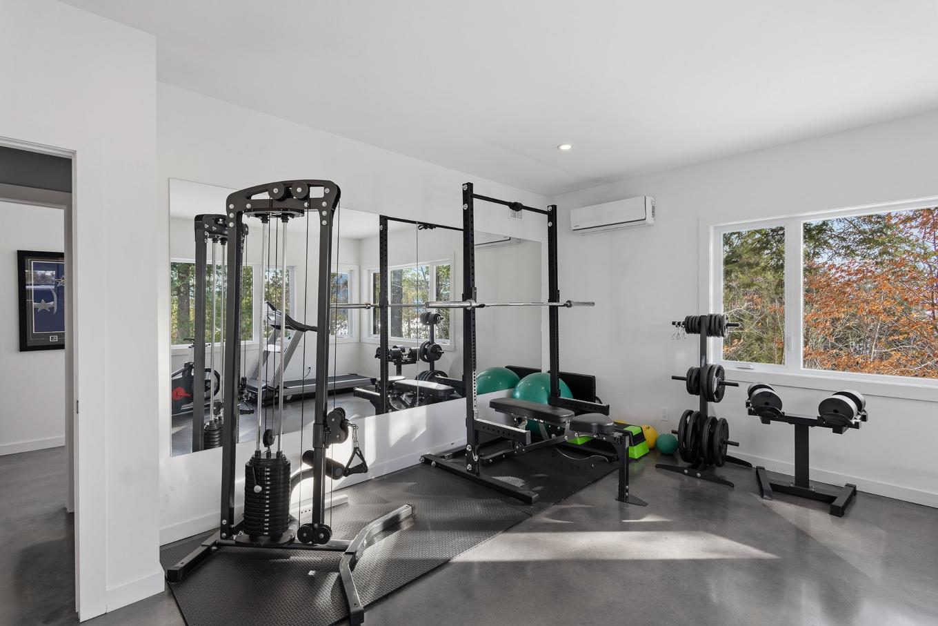 Salle d'exercice - 220 Rue De L'Archipel, Saint-Denis-De-Brompton, QC - Indoor Photo Showing Gym Room