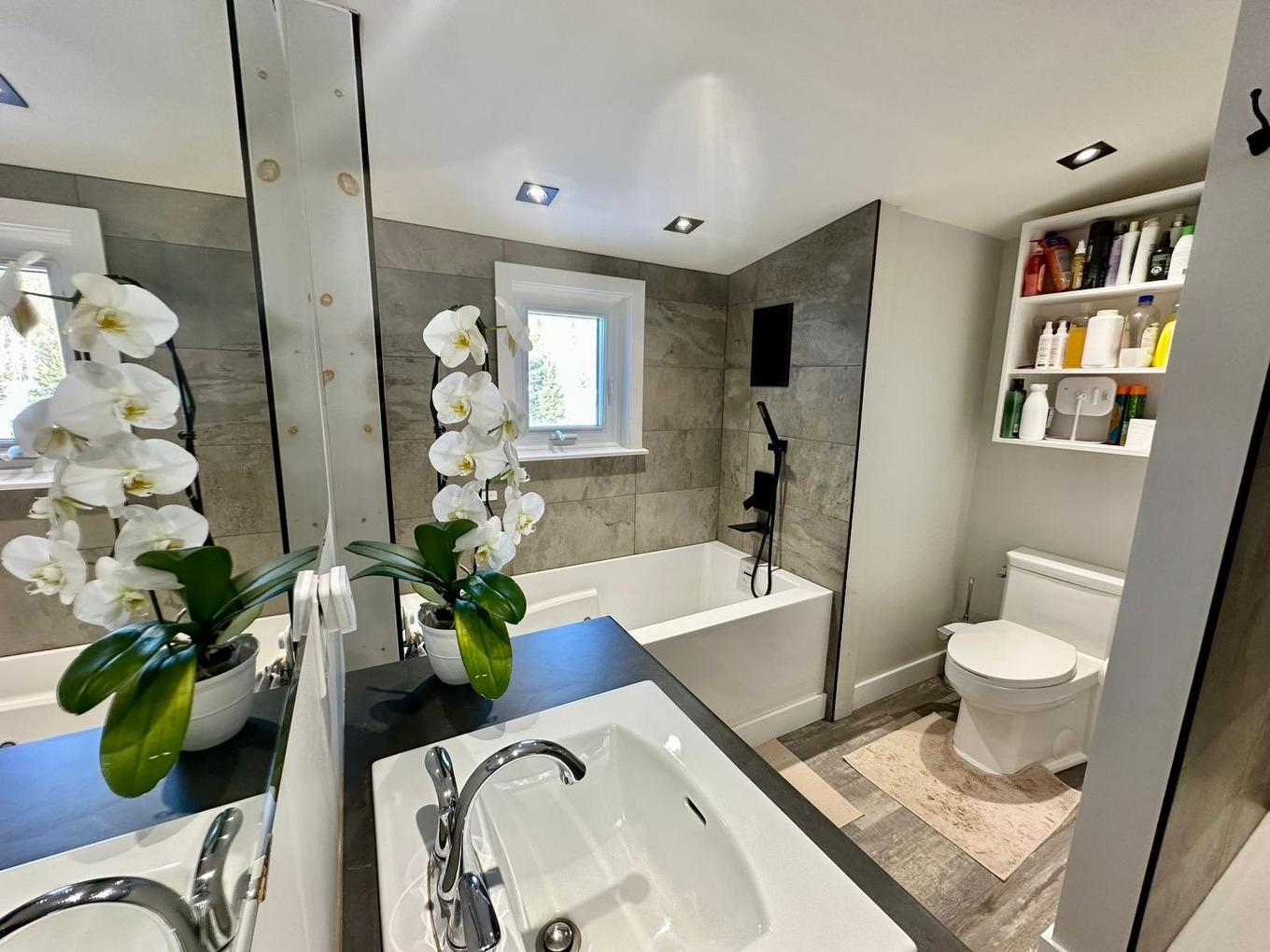 Salle de bains - 1671 Ch. De Rockway Valley, Amherst, QC - Indoor Photo Showing Bathroom