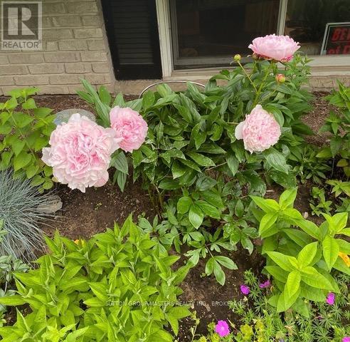 848 Allum Avenue, Kingston (South Of Taylor-Kidd Blvd), ON - Outdoor