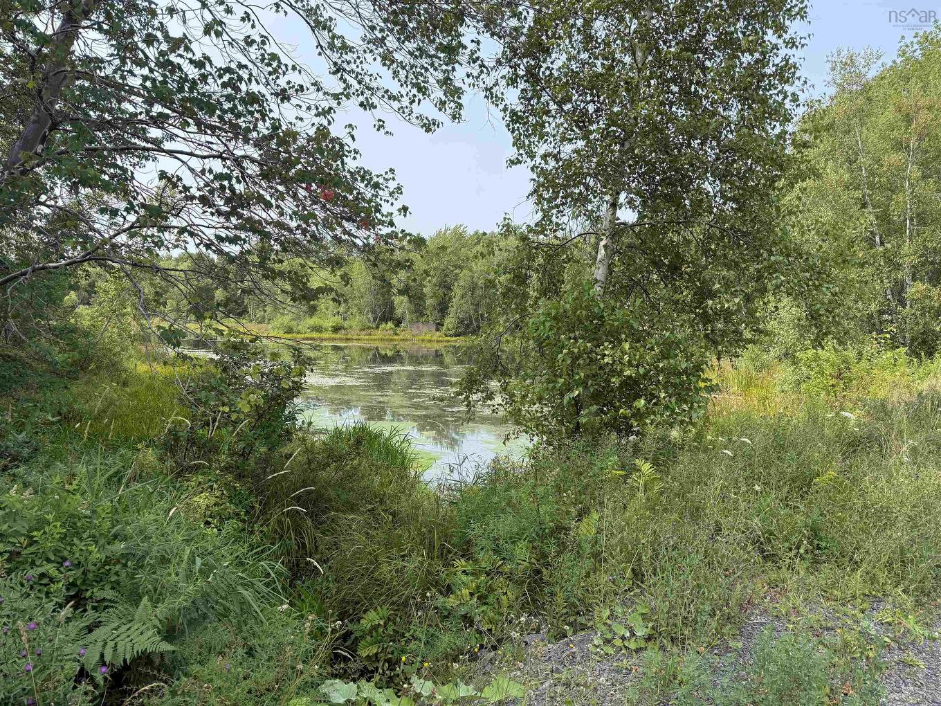 123 Chance Harbour Road, Hillside, NS