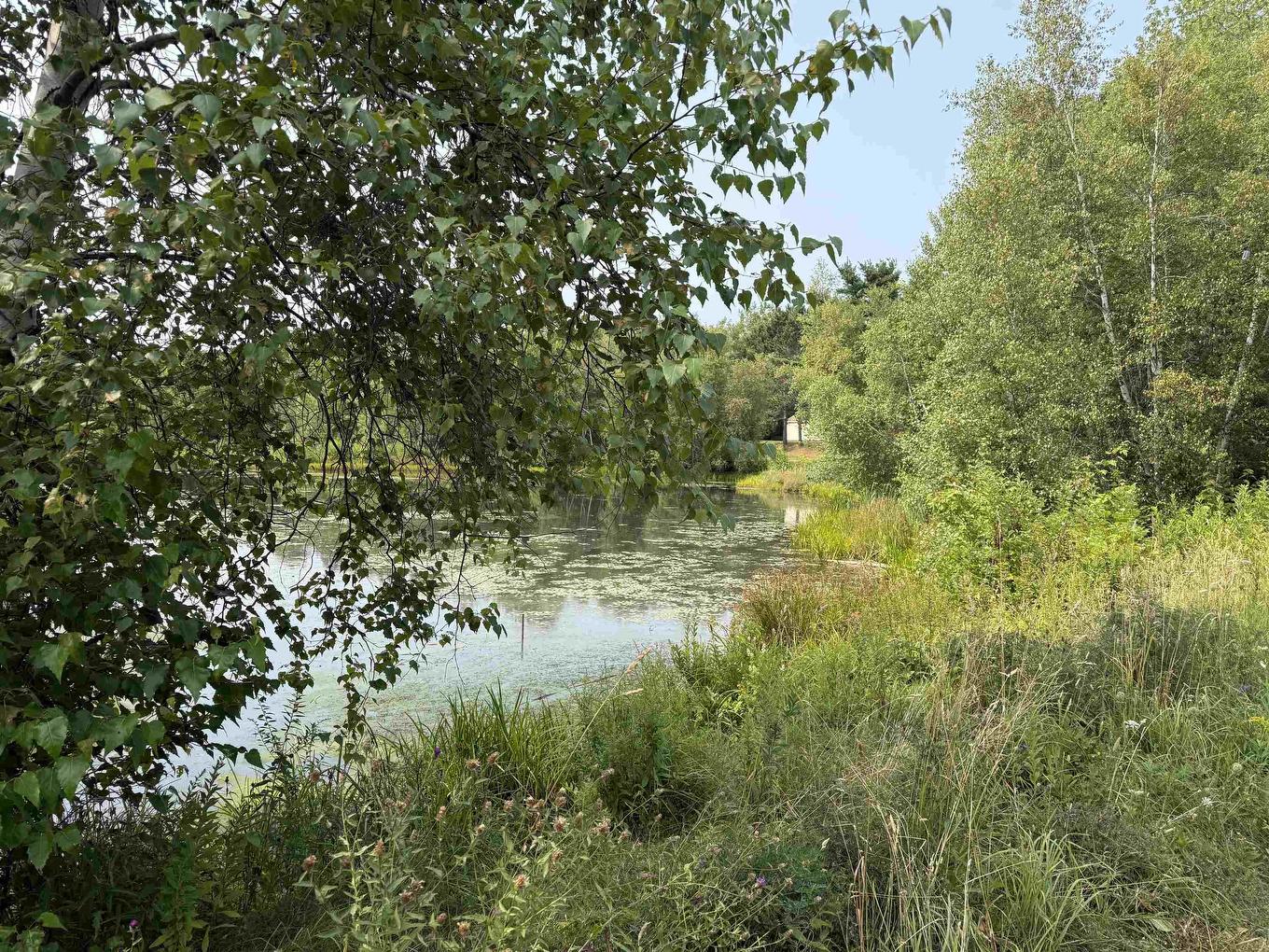 123 Chance Harbour Road, Hillside, NS