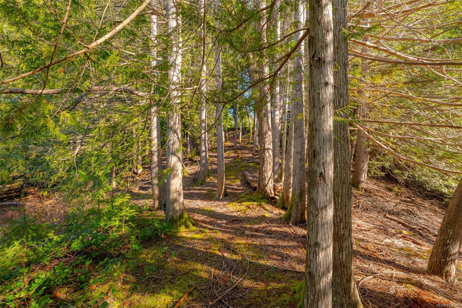 2740 Lakeview Rd, Qualicum Beach, BC